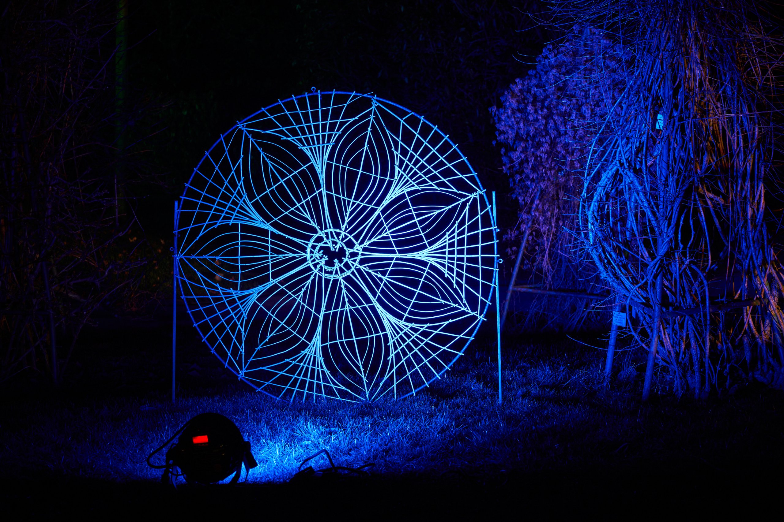 2023 01 24 Parkleuchten 0415